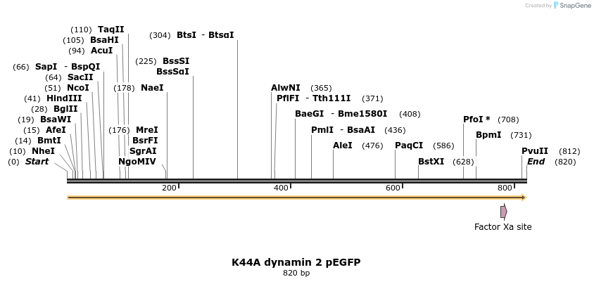 42915_map