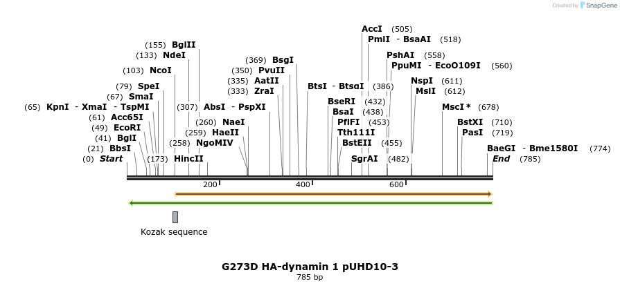 42917_map