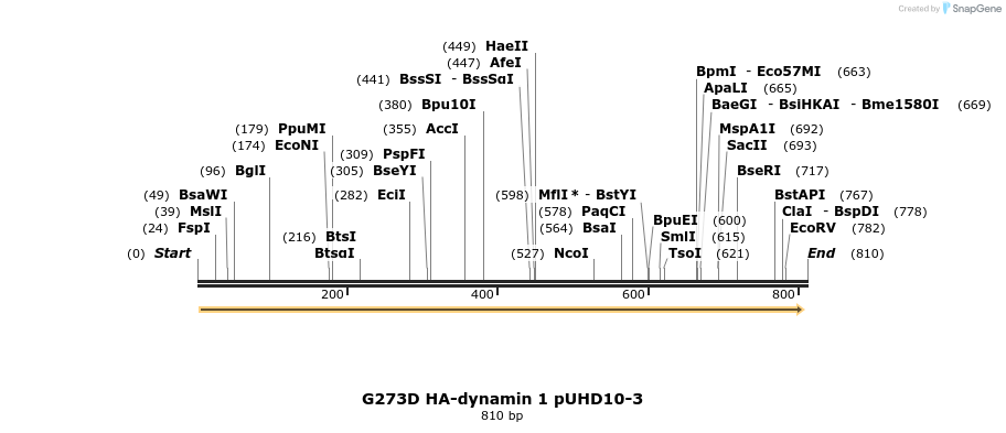 42918_map