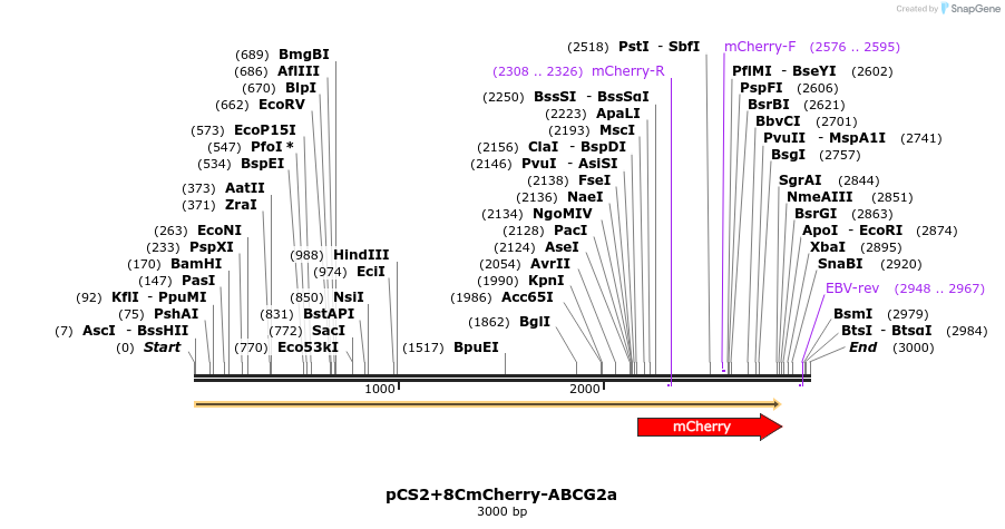 42919_map