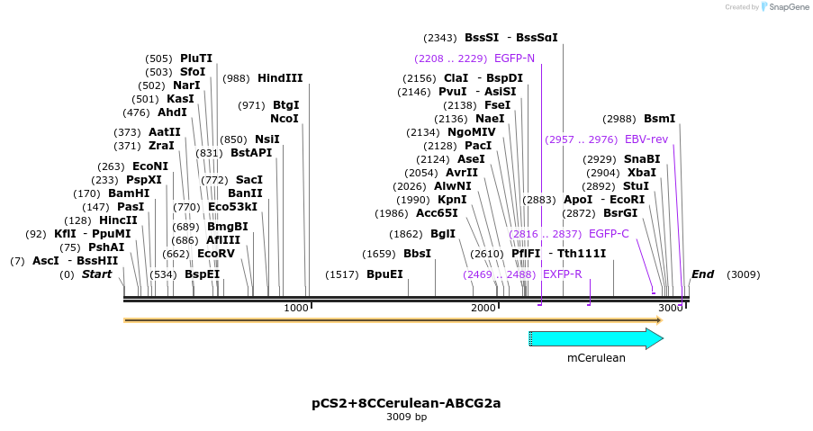 42920_map