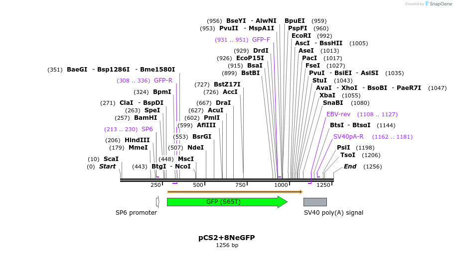 42921_map