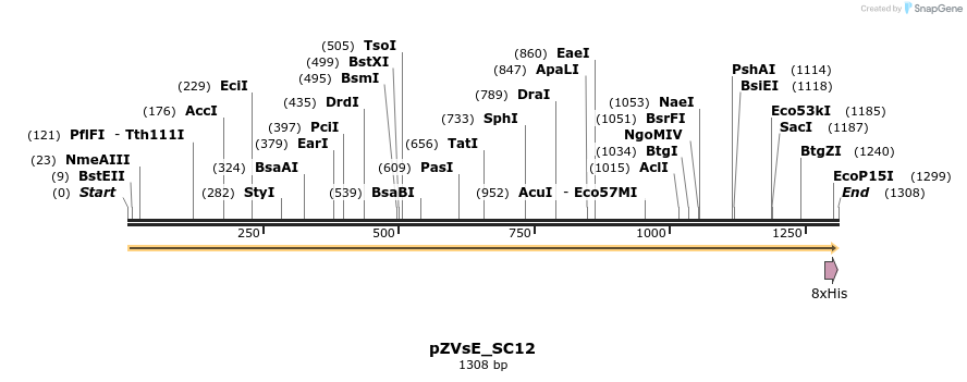 429474_map