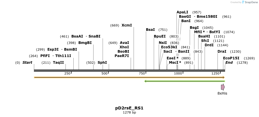 429475_map