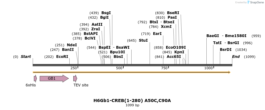 429505_map