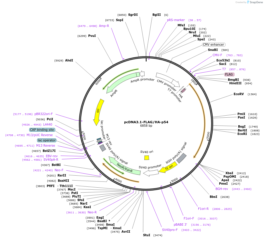 430090_map