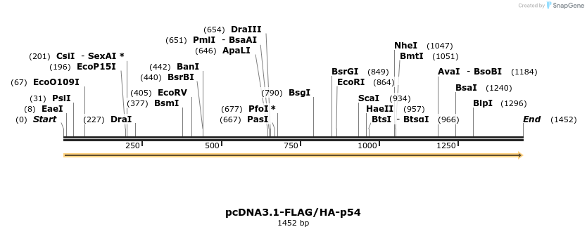 430091_map