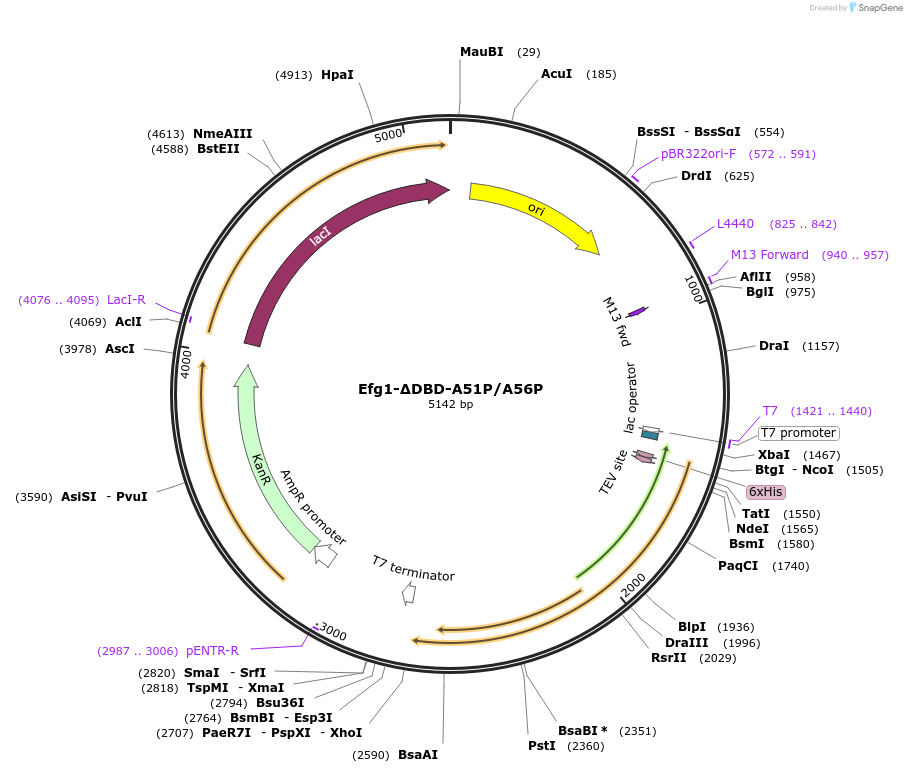 430101_map