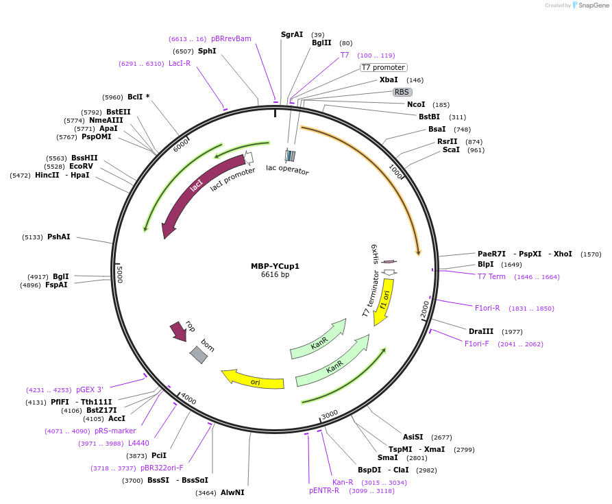 430150_map