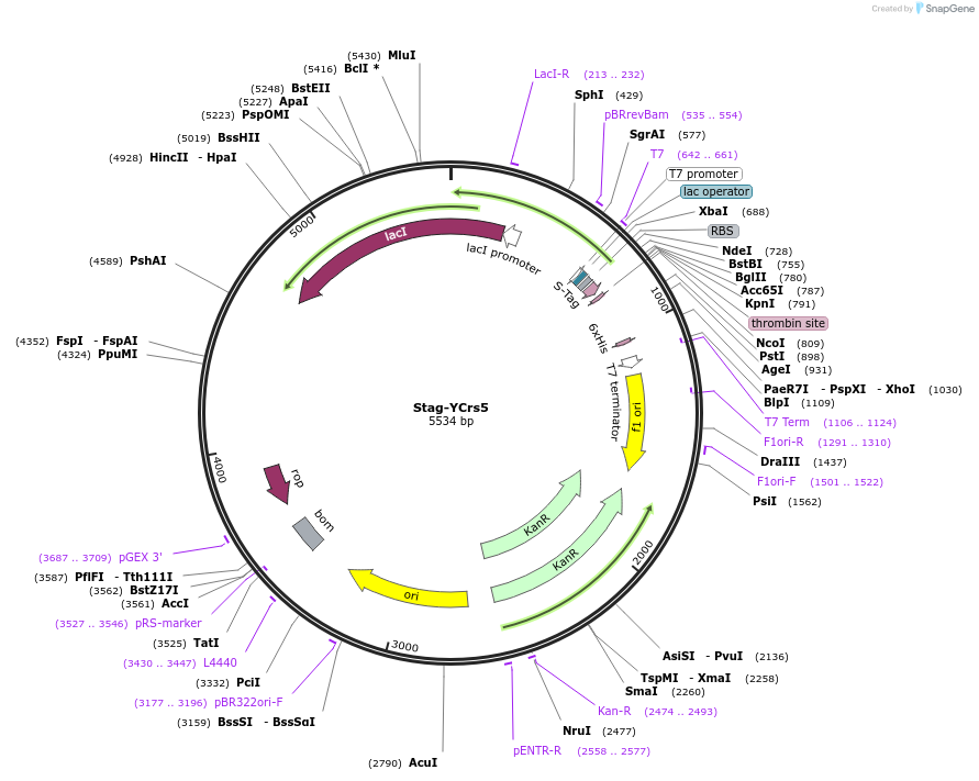 430158_map