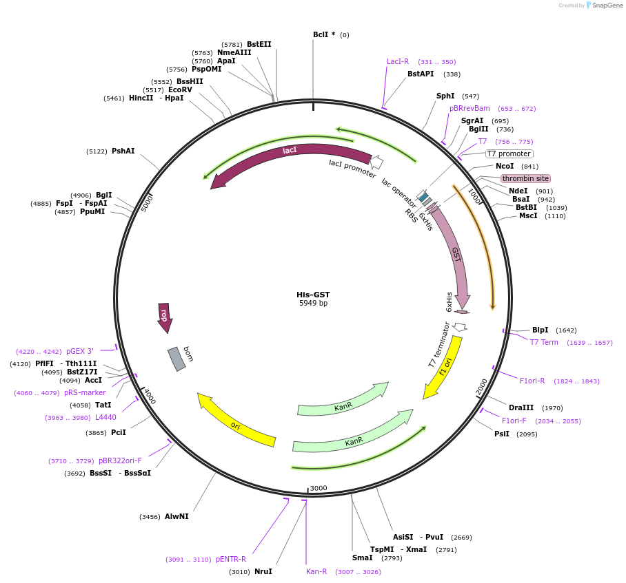 430165_map