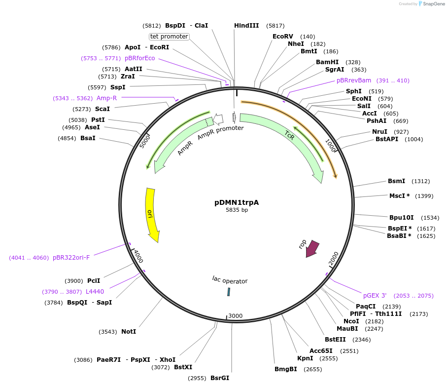430192_map