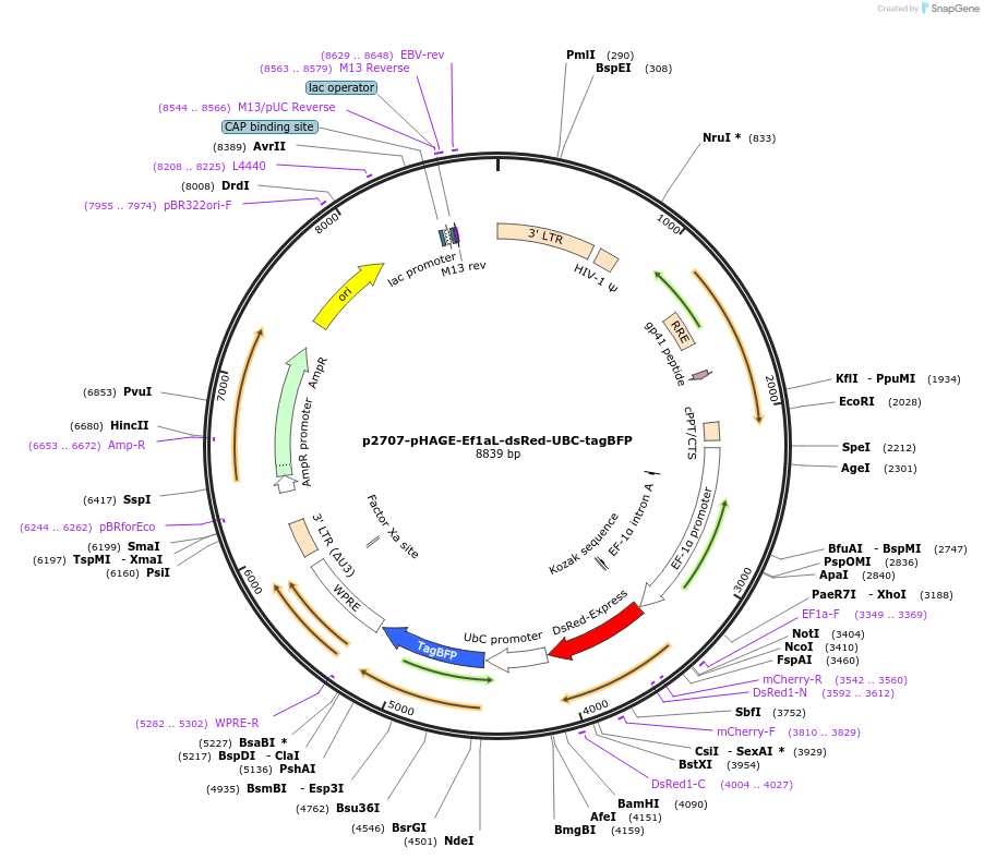 430204_map