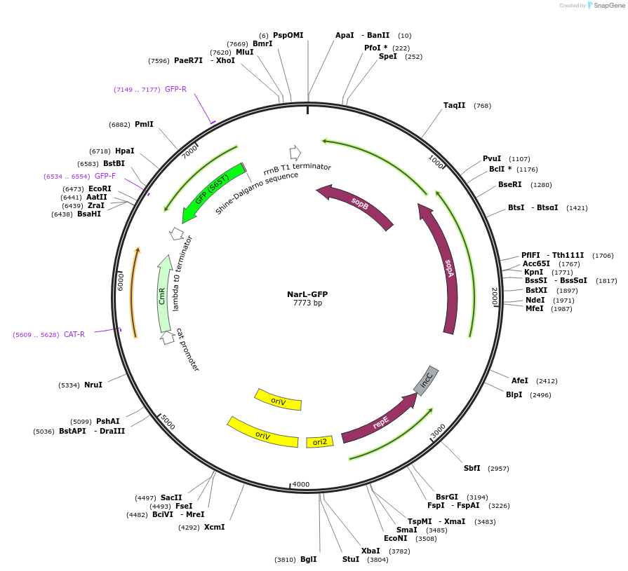 430230_map