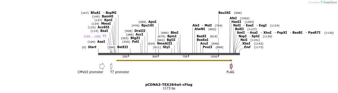 430249_map