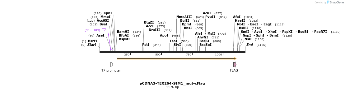 430251_map
