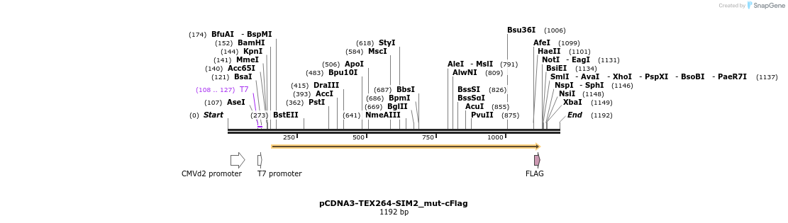 430253_map