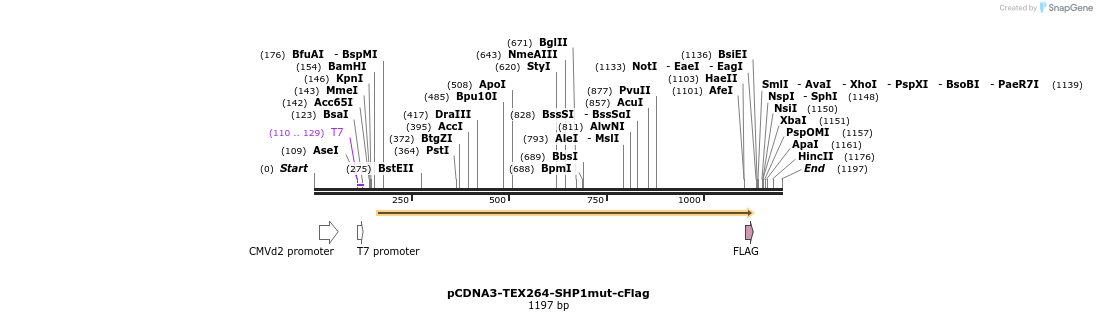 430257_map