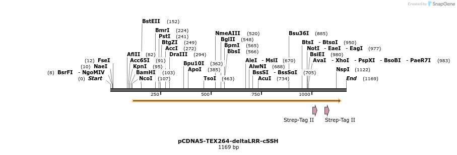 430261_map