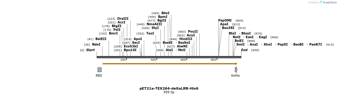 430269_map