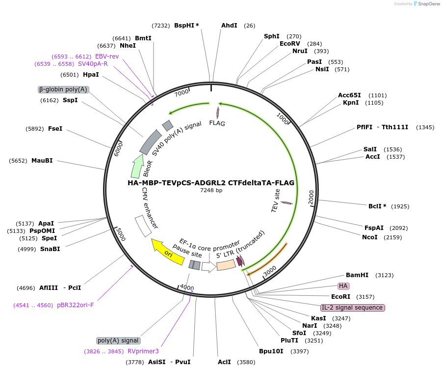 430302_map