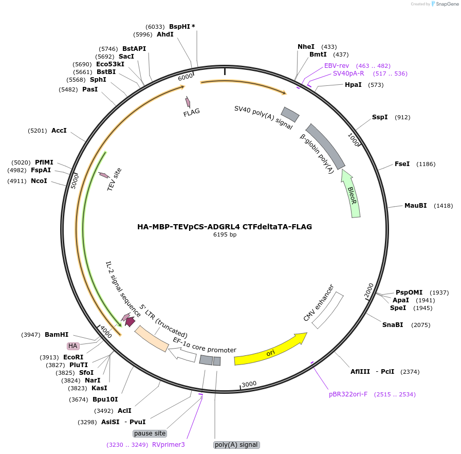 430304_map
