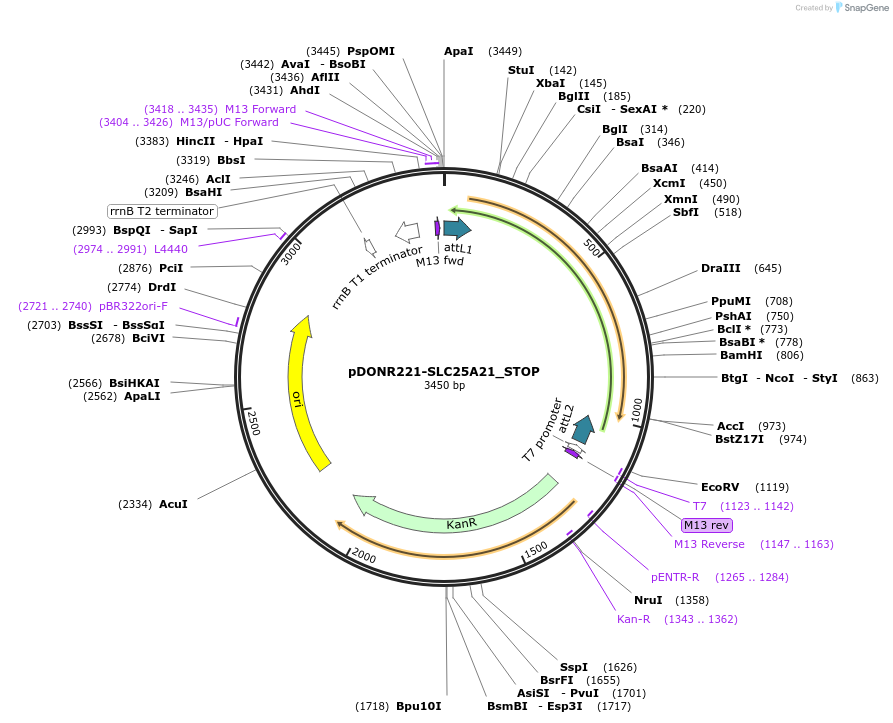 430411_map
