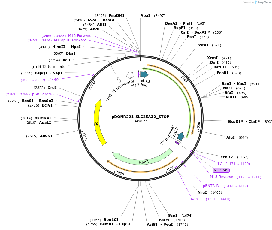 430413_map