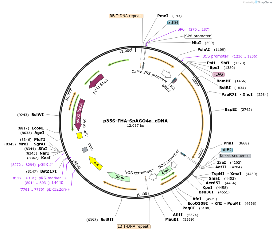 430429_map