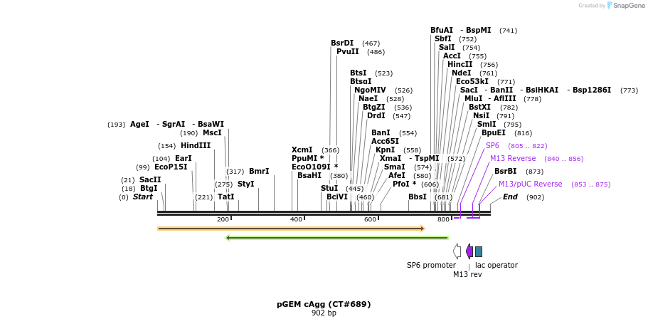 43045_map
