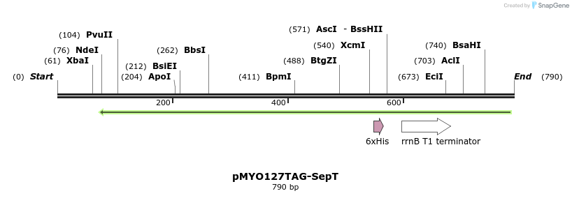 43048_map