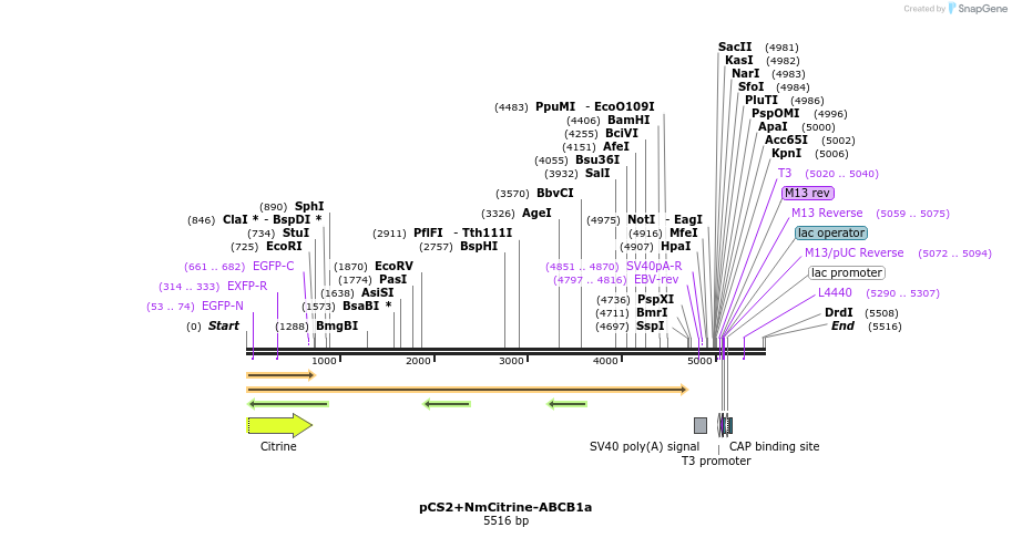 43051_map