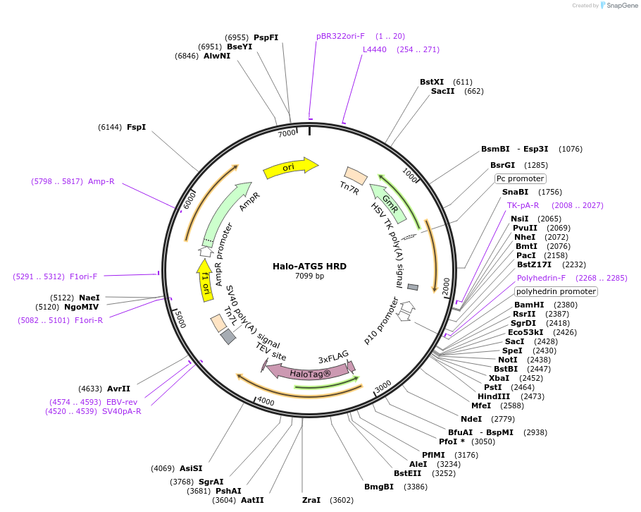 430513_map