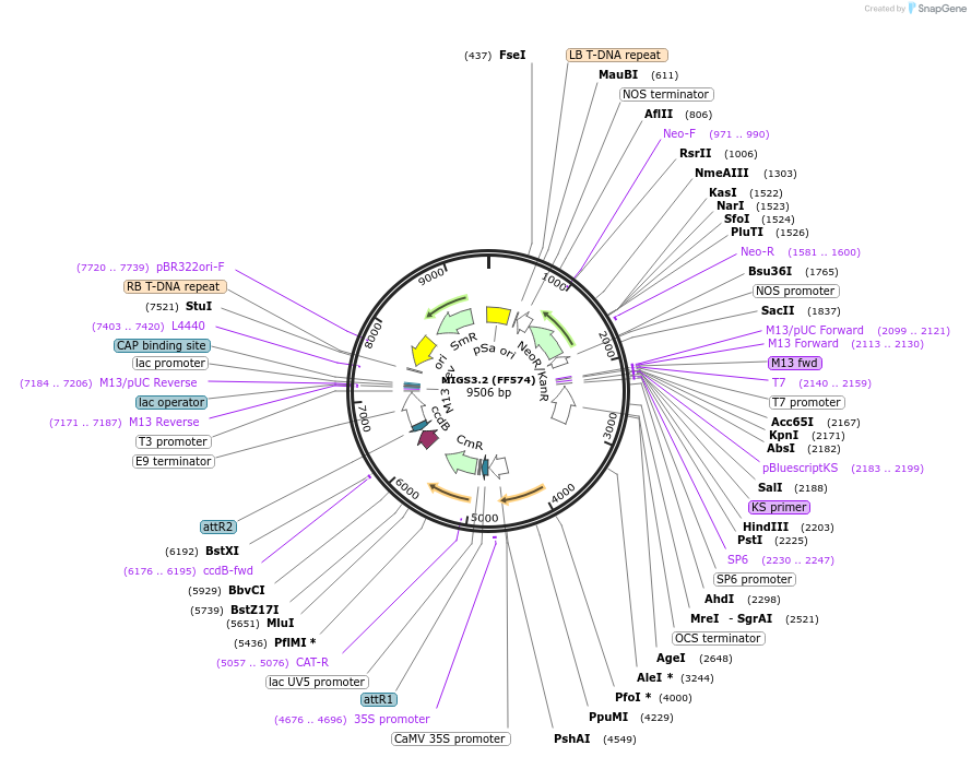 35250-plasmid-map-sequence-id-43059