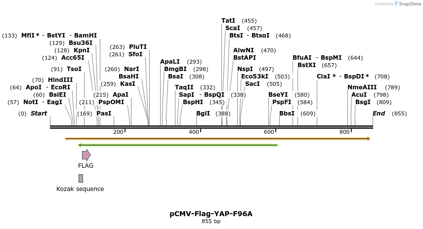 43062_map