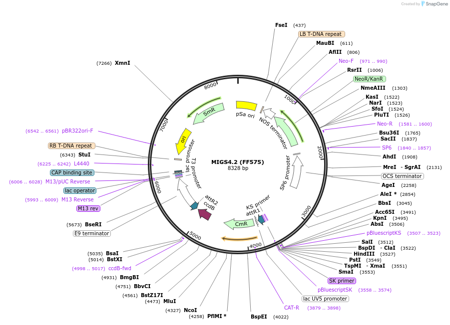 43063_map