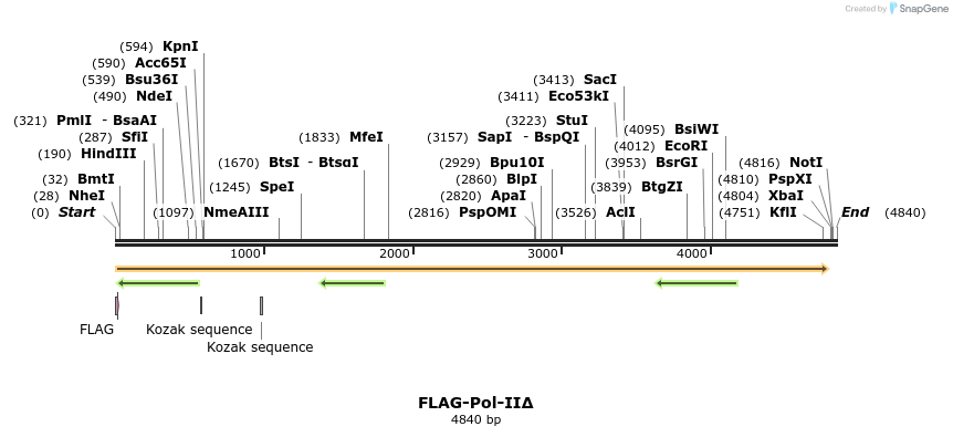 43065_map