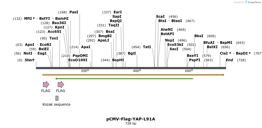 43066_map