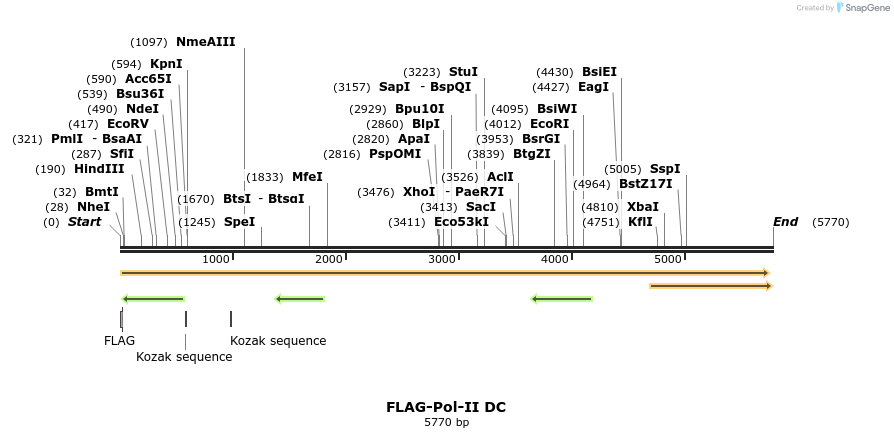 43067_map
