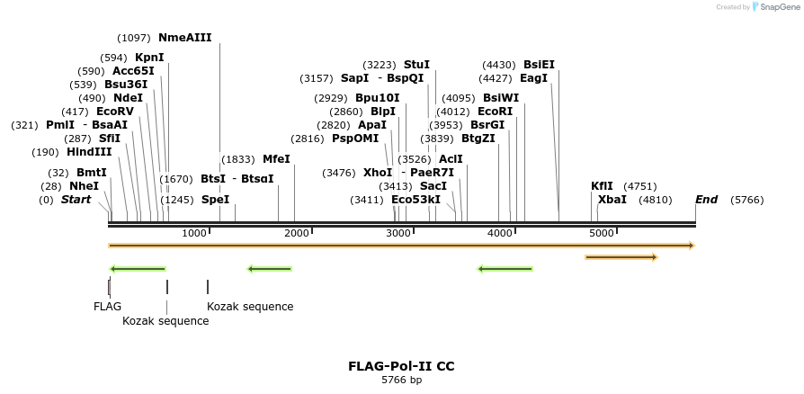43068_map