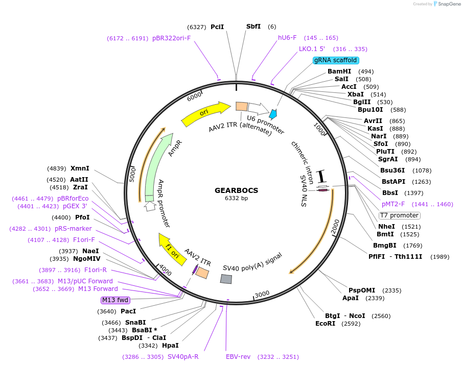 430686_map