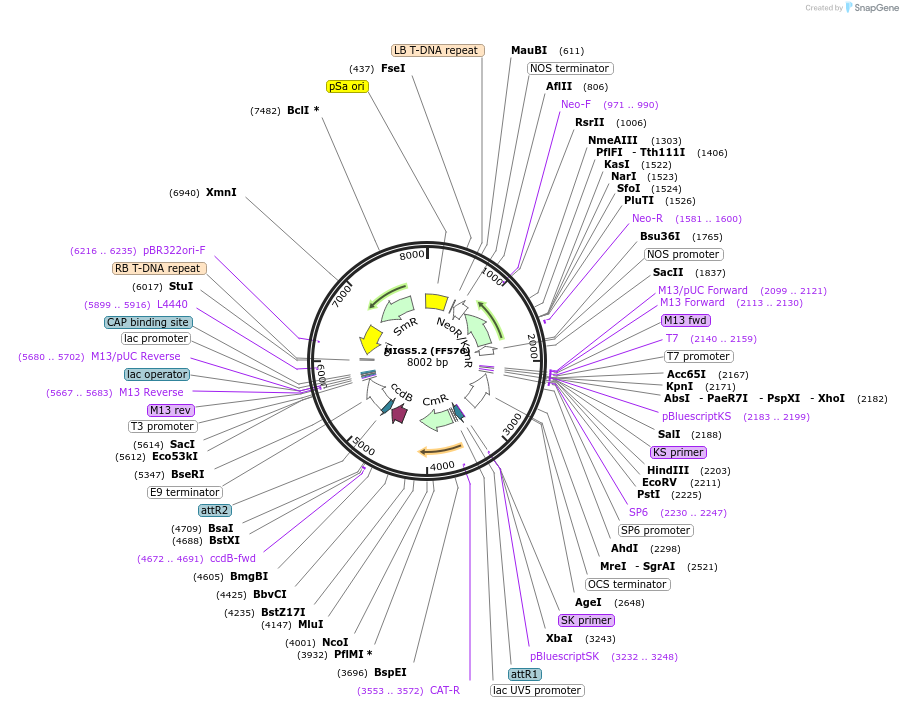 43069_map