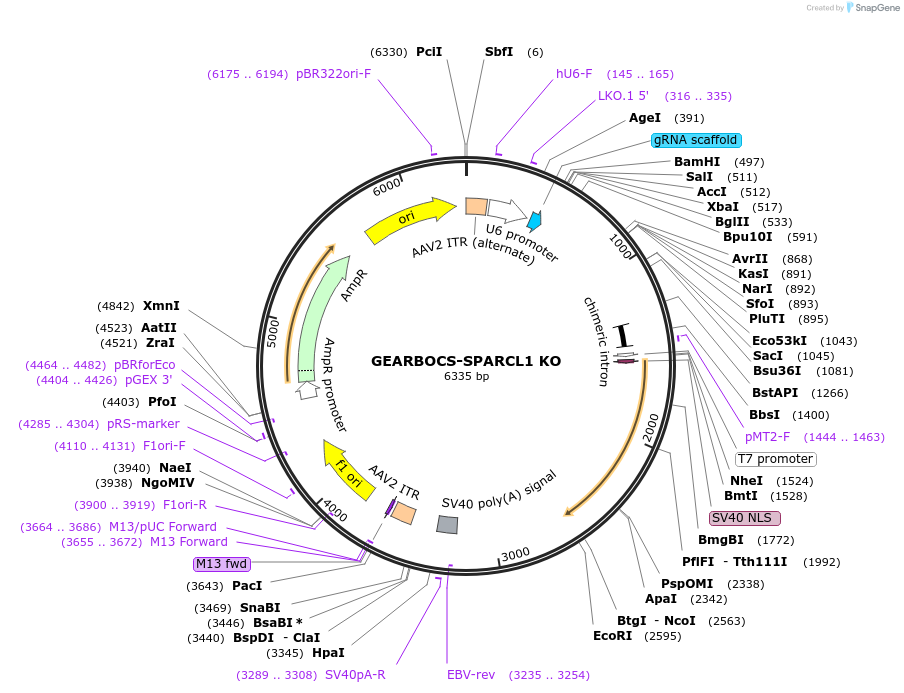 430690_map