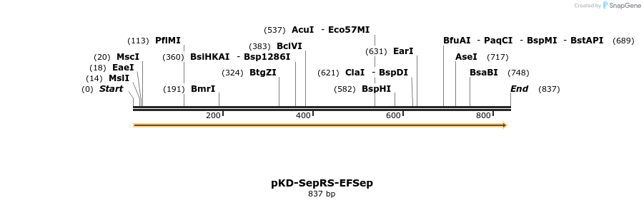 43071_map