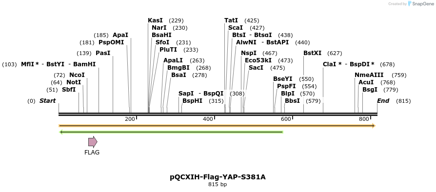 43073_map