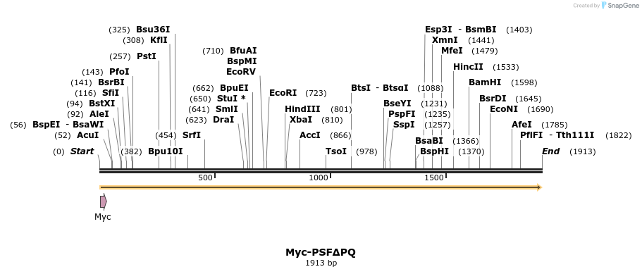 43077_map