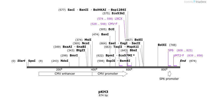 43080_map