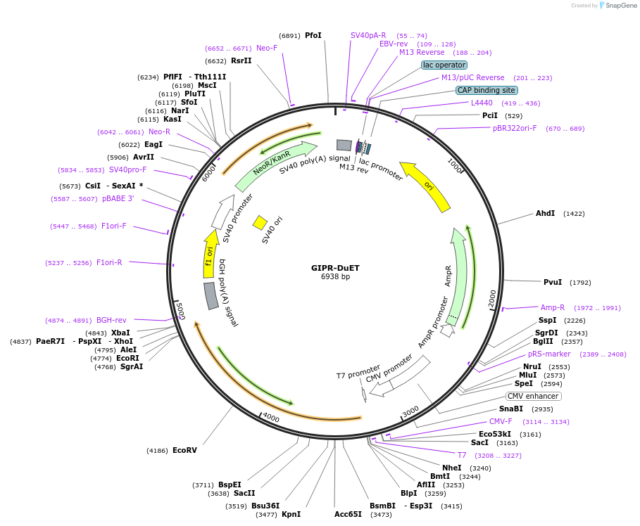 430802_map