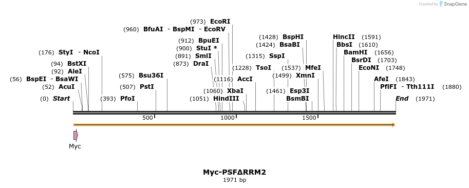 43082_map