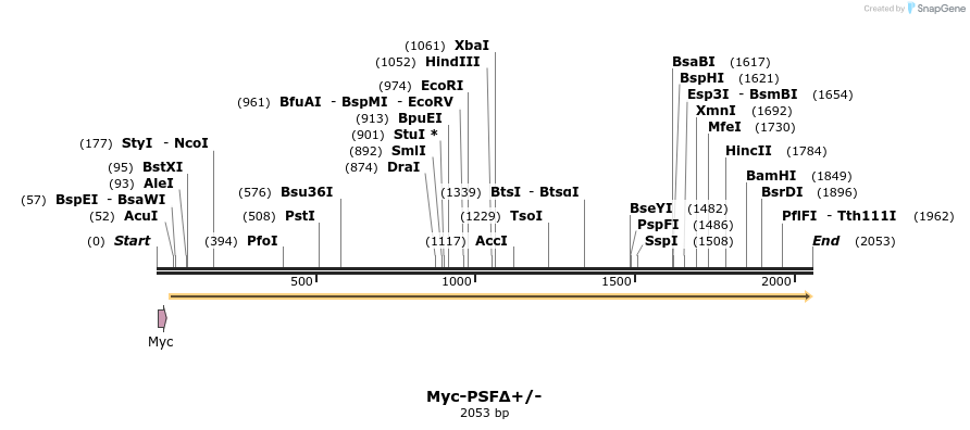 43083_map